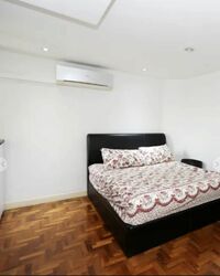 The Tanamera (D16), Condominium #366411611